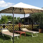 Papaveri E Papere *