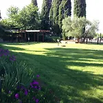 Papaveri E Papere