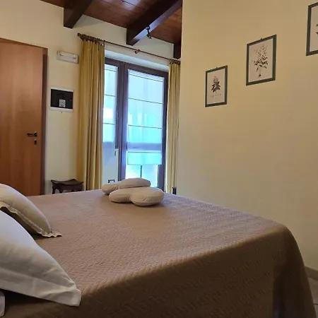 Papaveri E Papere