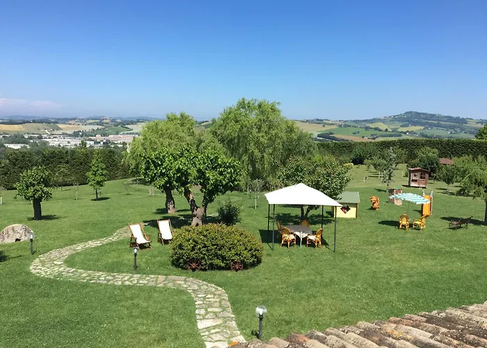 Papaveri E Papere *