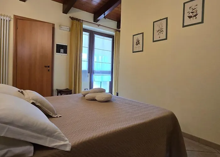 Papaveri E Papere