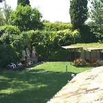 Papaveri E Papere * Saludecio