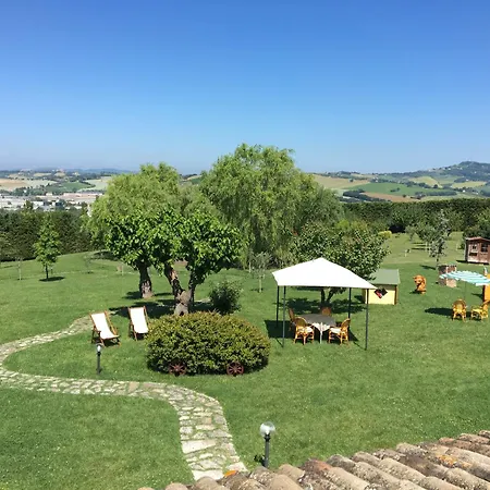 Papaveri E Papere *