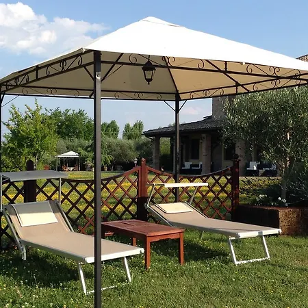 Papaveri E Papere *