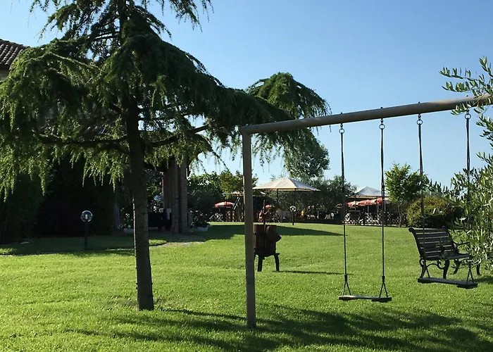 Papaveri E Papere