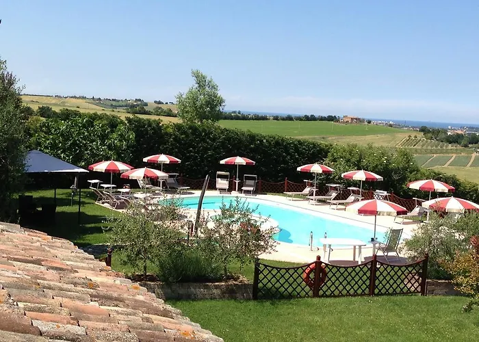 Papaveri E Papere * Saludecio