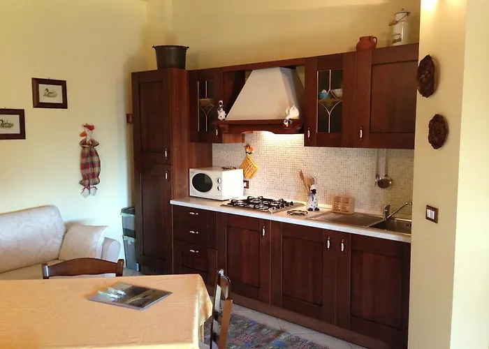 Papaveri E Papere Saludecio